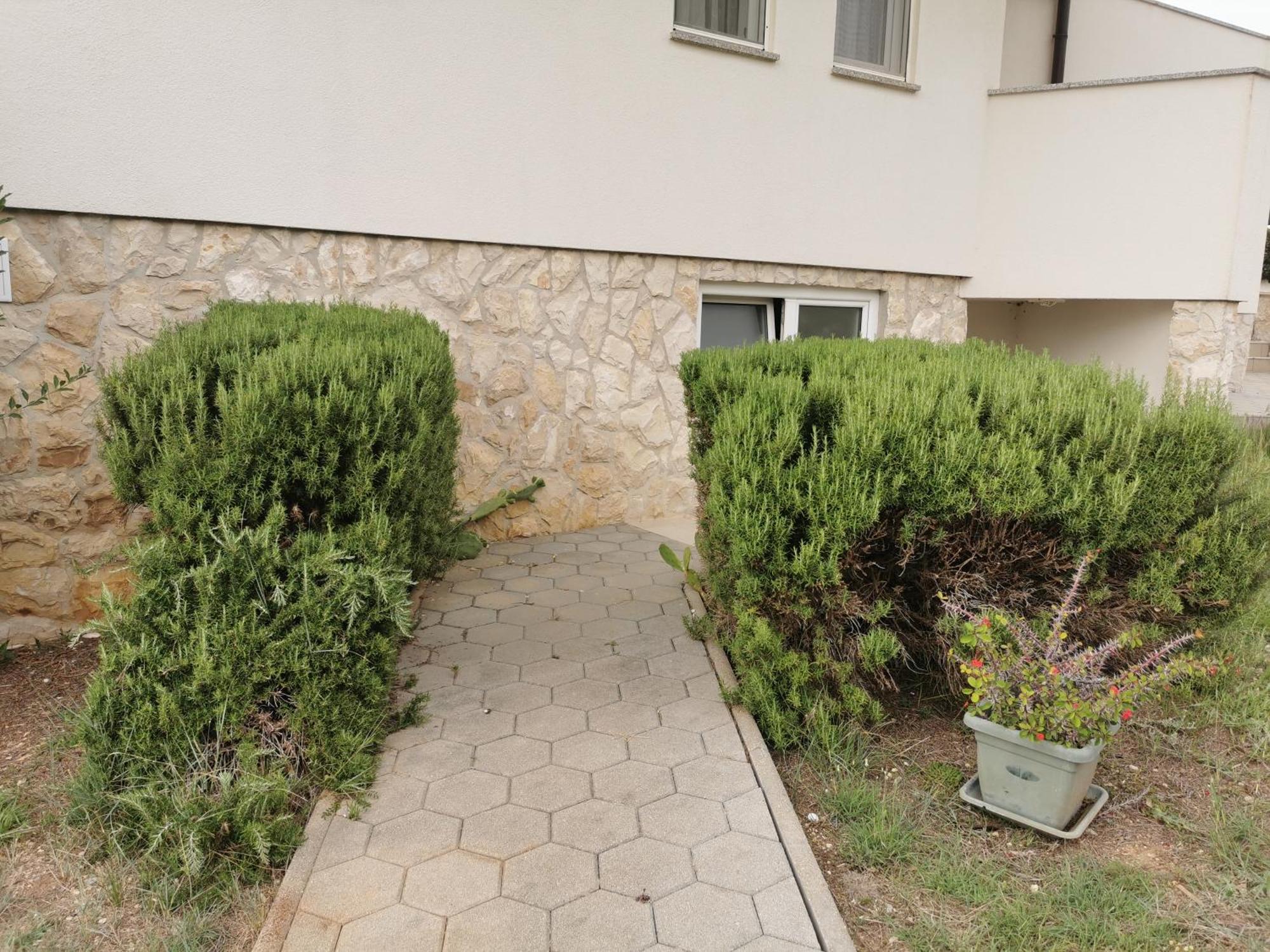 Apartments Riva Povljana Extérieur photo